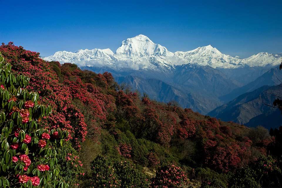 pokhara